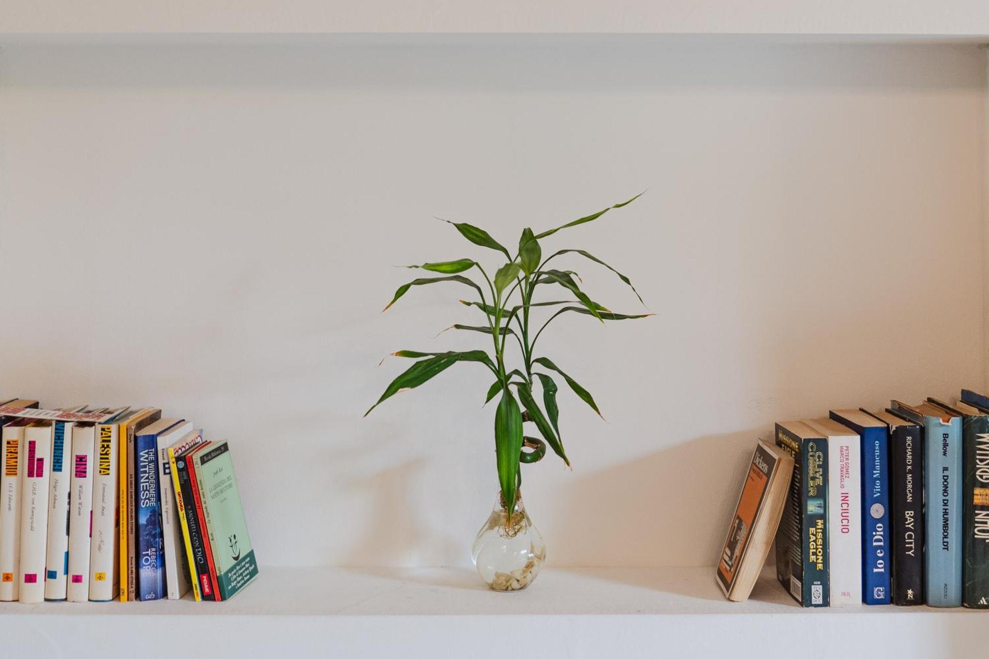Bed And Books Bed & Breakfast คาตาเนีย ภายนอก รูปภาพ